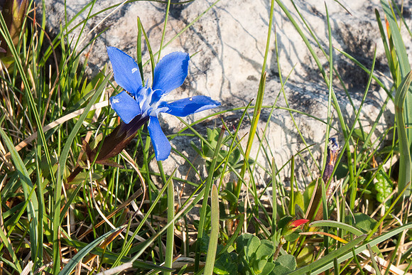 Ireland 2014 - Burren