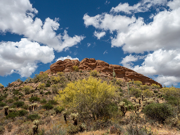Arizona 2019