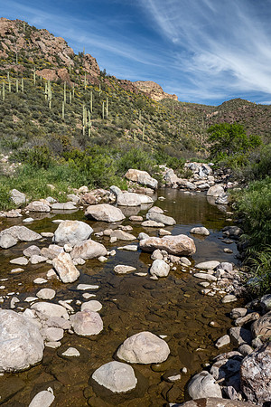 Arizona 2020