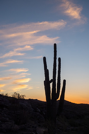 Arizona 2021