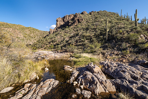 Arizona 2020