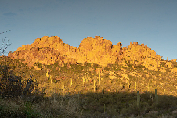 Arizona 2019