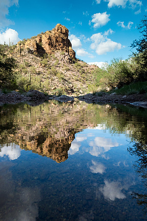 Arizona 2018