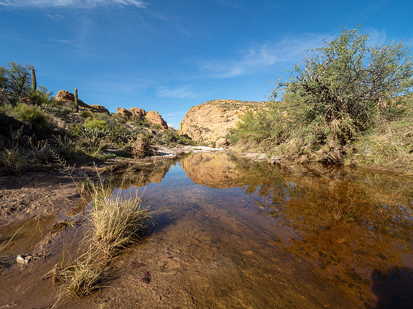 Arizona 2019