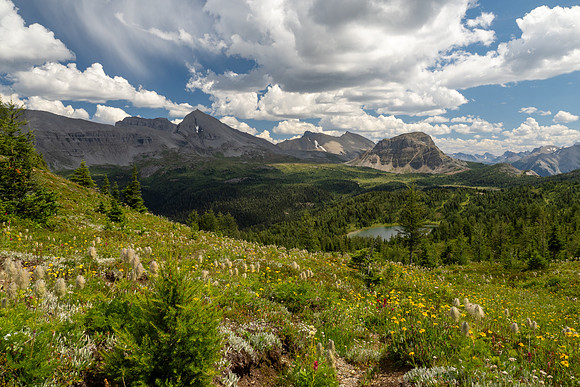 Banff National Park 2025