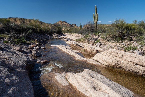 Arizona 2020