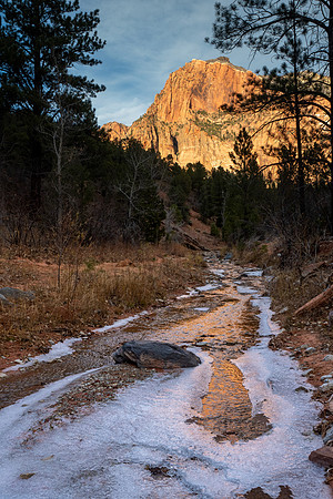 Zion National Park 2024