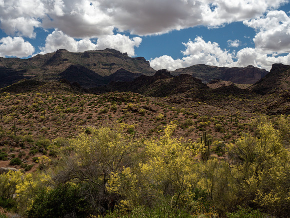 Arizona 2019