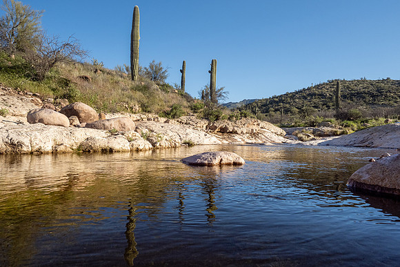 Arizona 2020