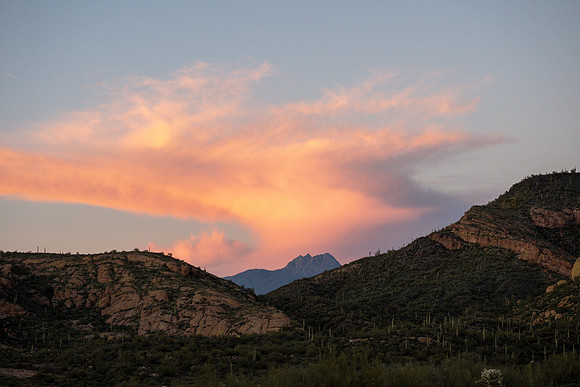 Arizona 2019