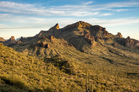 Arizona 2019