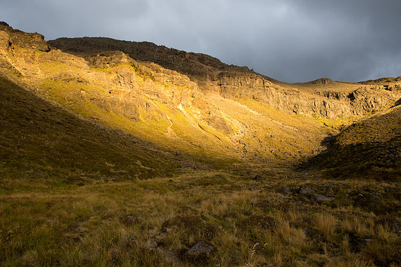 New Zealand 2013
