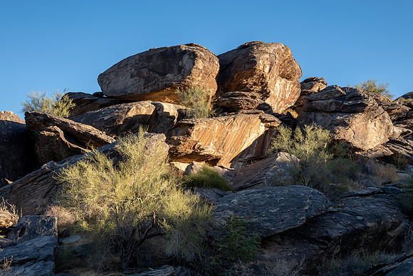 Arizona 2020