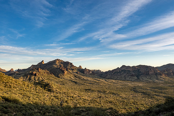 Arizona 2019