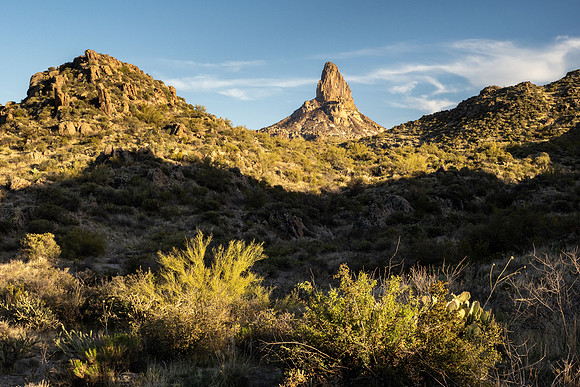 Arizona 2021