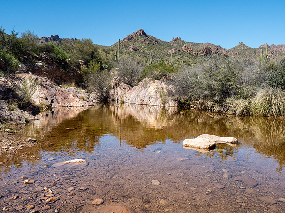 Arizona 2019