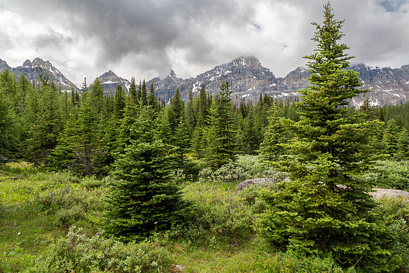 Banff National Park 2025