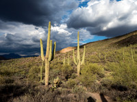 Superstition Wilderness Hikes 2018