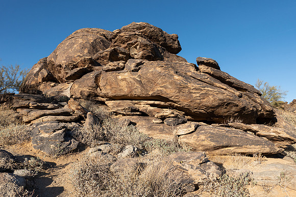 Arizona 2021