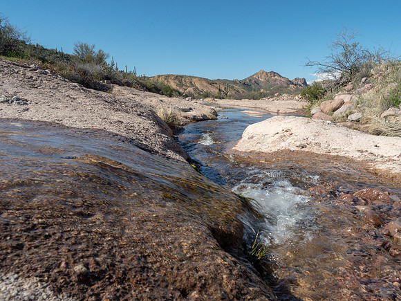 Arizona 2019