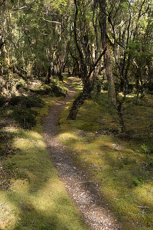 New Zealand 2013