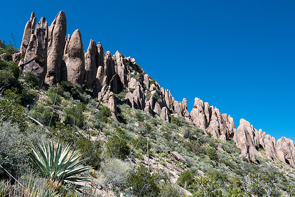 Arizona 2015 - Superstitions Ridge Hike (Mar)