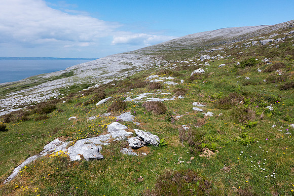 Ireland 2014 - Burren