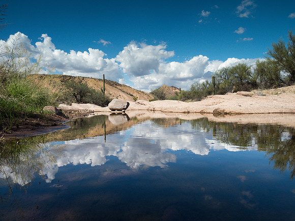 Arizona 2018