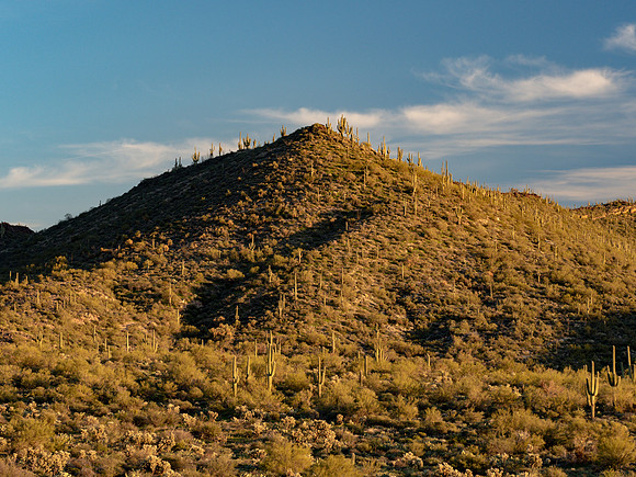 Arizona 2019