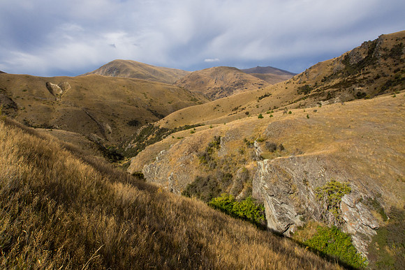 New Zealand 2013