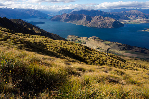 New Zealand 2013