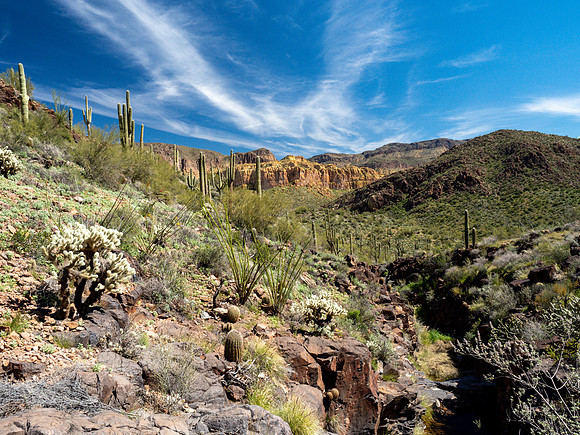 Arizona 2019