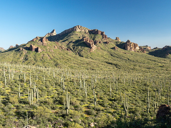 Arizona 2019