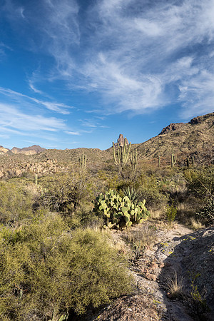 Arizona 2021