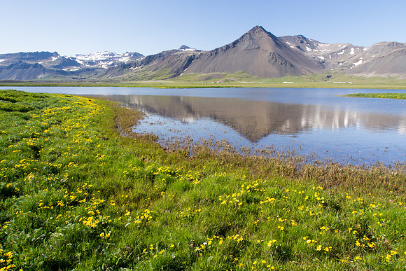 Iceland 2014