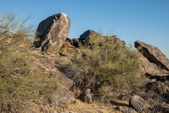 Arizona 2019