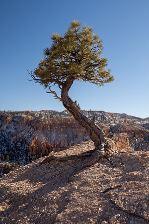 Bryce Canyon National Park 2022