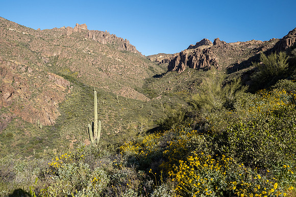 Arizona 2020
