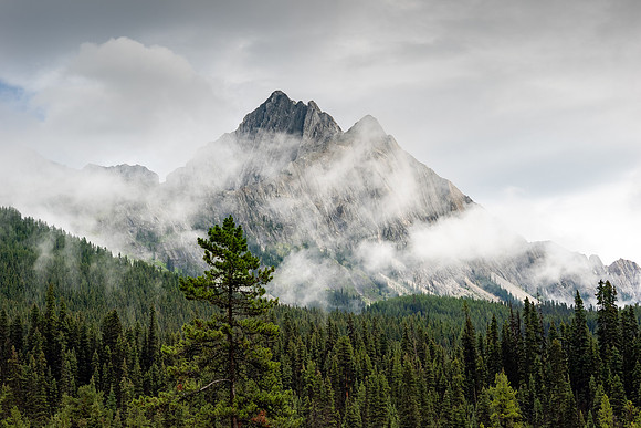 Banff National Park 2025