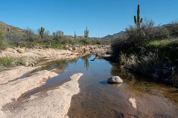 Arizona 2019