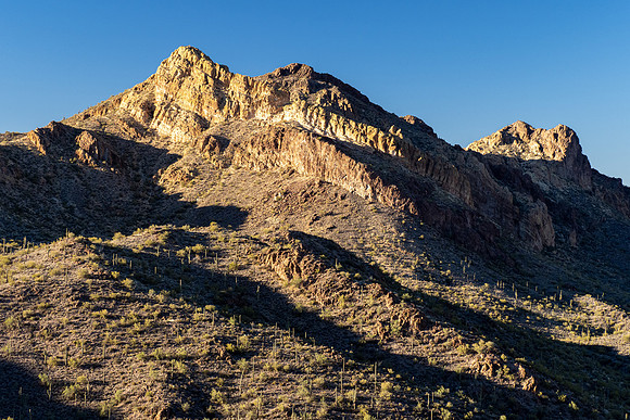 Arizona 2021