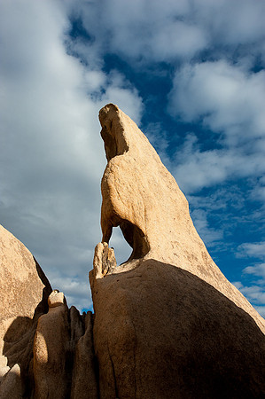 Joshua Tree National Park