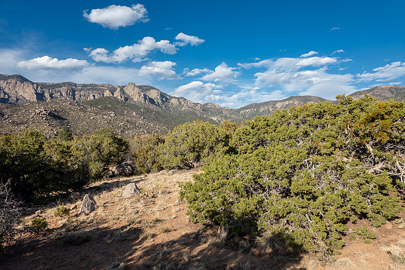 New Mexico 2025