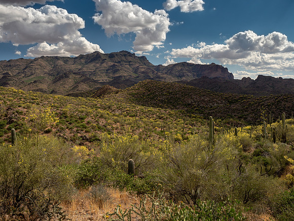 Arizona 2019