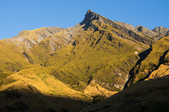 New Zealand 2013