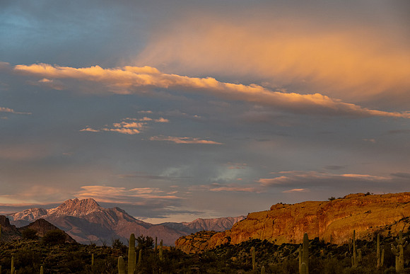 Arizona 2020