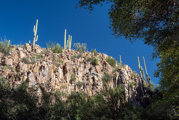 Arizona 2022