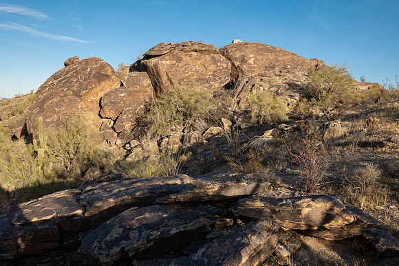 Arizona 2021