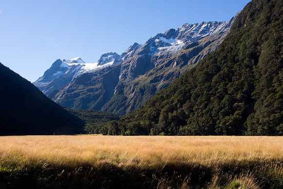 New Zealand 2013