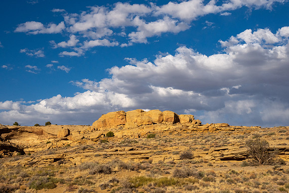New Mexico 2025
